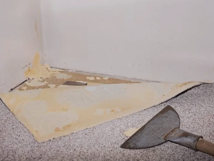 carpet-adhesive-removal-img